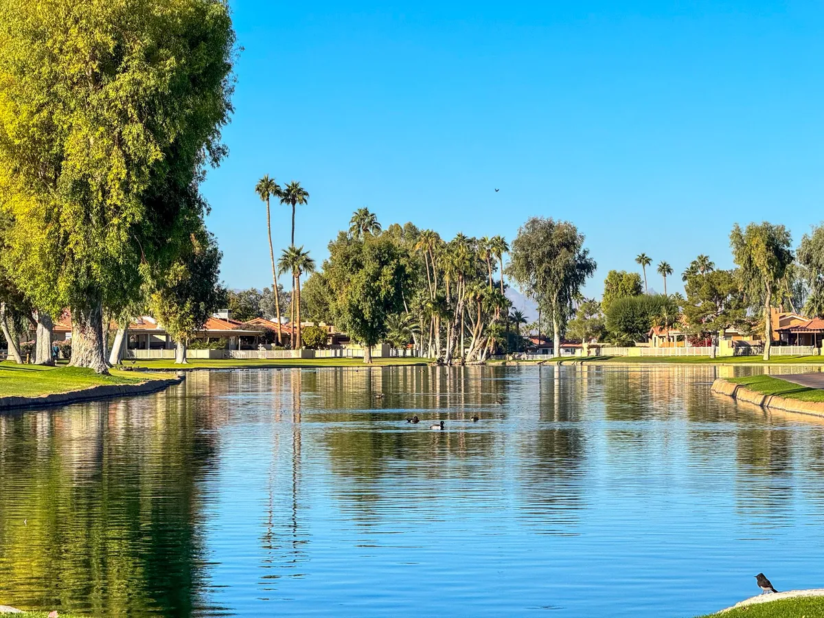 A tranquil lake is surrounded by lush greenery and palm trees, with ducks swimming near the shore. Houses and walking paths are visible in the background, suggesting opportunities for scenic community strolls and outdoor relaxation.