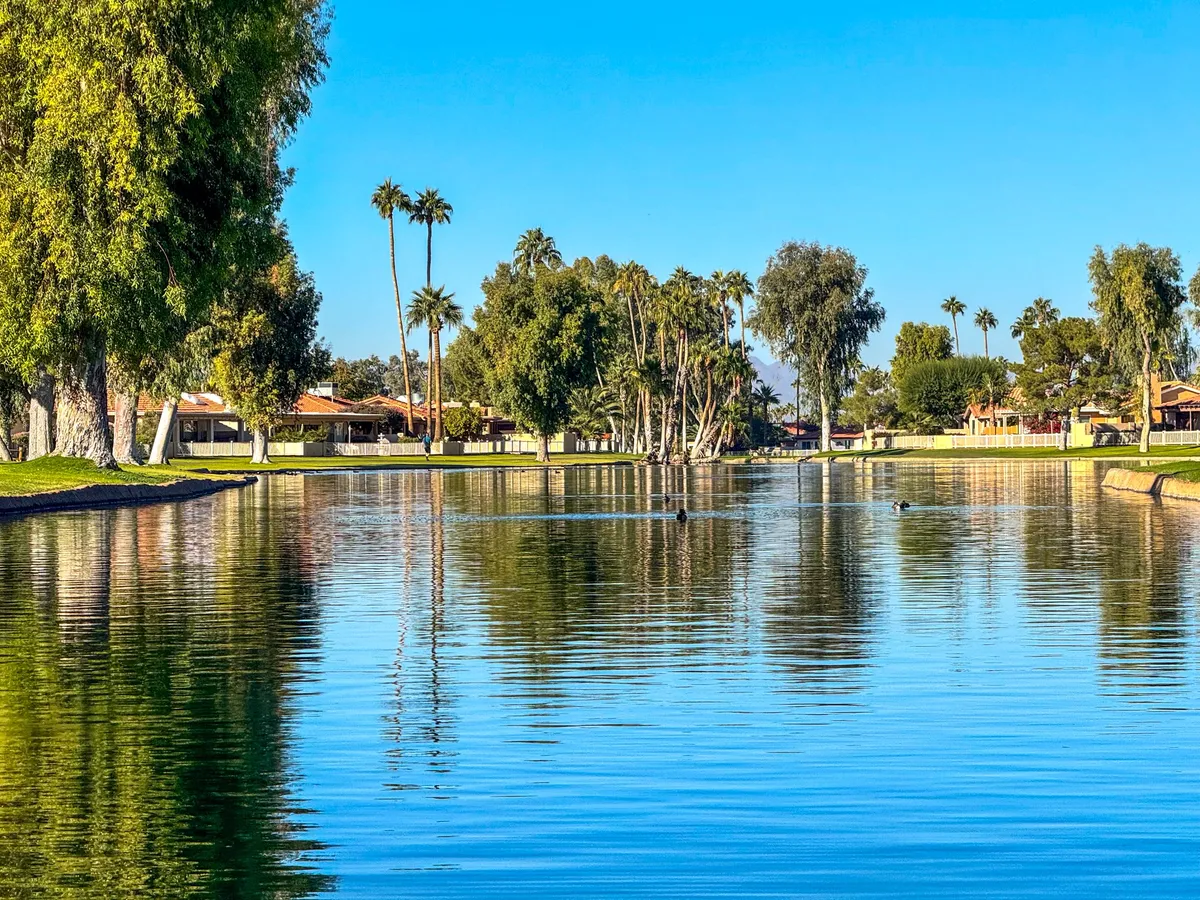 A tranquil lakeside scene with palm trees and their reflections mirrored in calm water, offering a peaceful backdrop ideal for walking, picnicking, or birdwatching. The clubhouse and community buildings can be seen in the background, reinforcing the community setting.